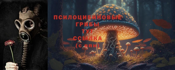 ALPHA PVP Алексин